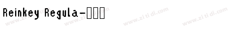 Reinkey Regula字体转换